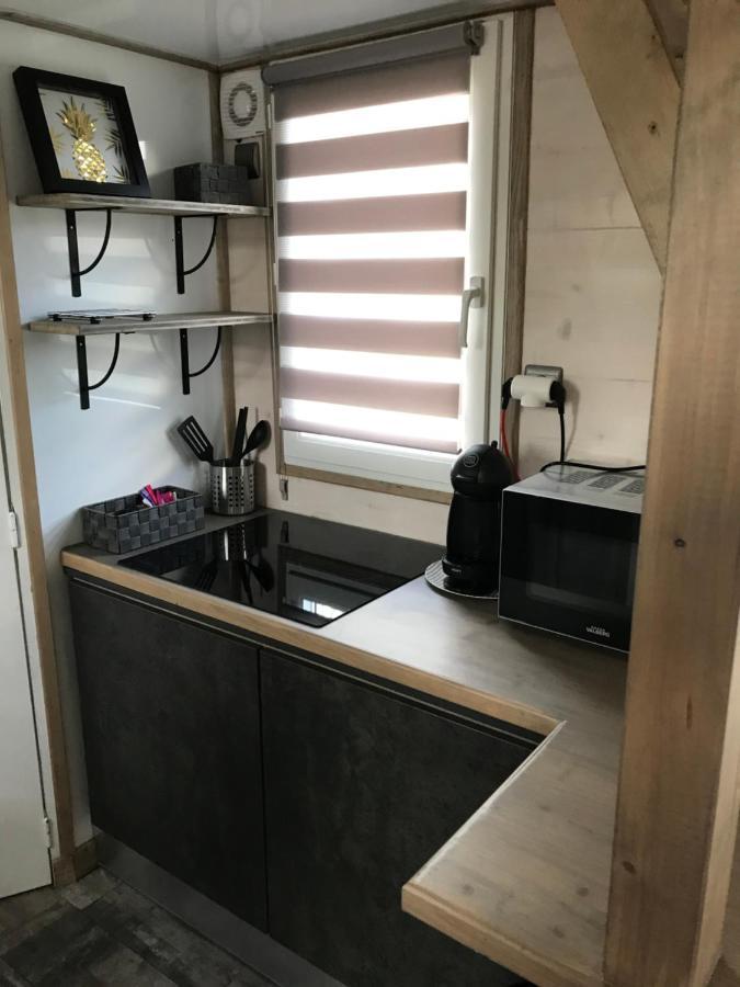 Les Nuits Insolites De La Mothe - Hebergement En Bulle Ou Tiny House Avec Spa Privatif Outremecourt Bagian luar foto